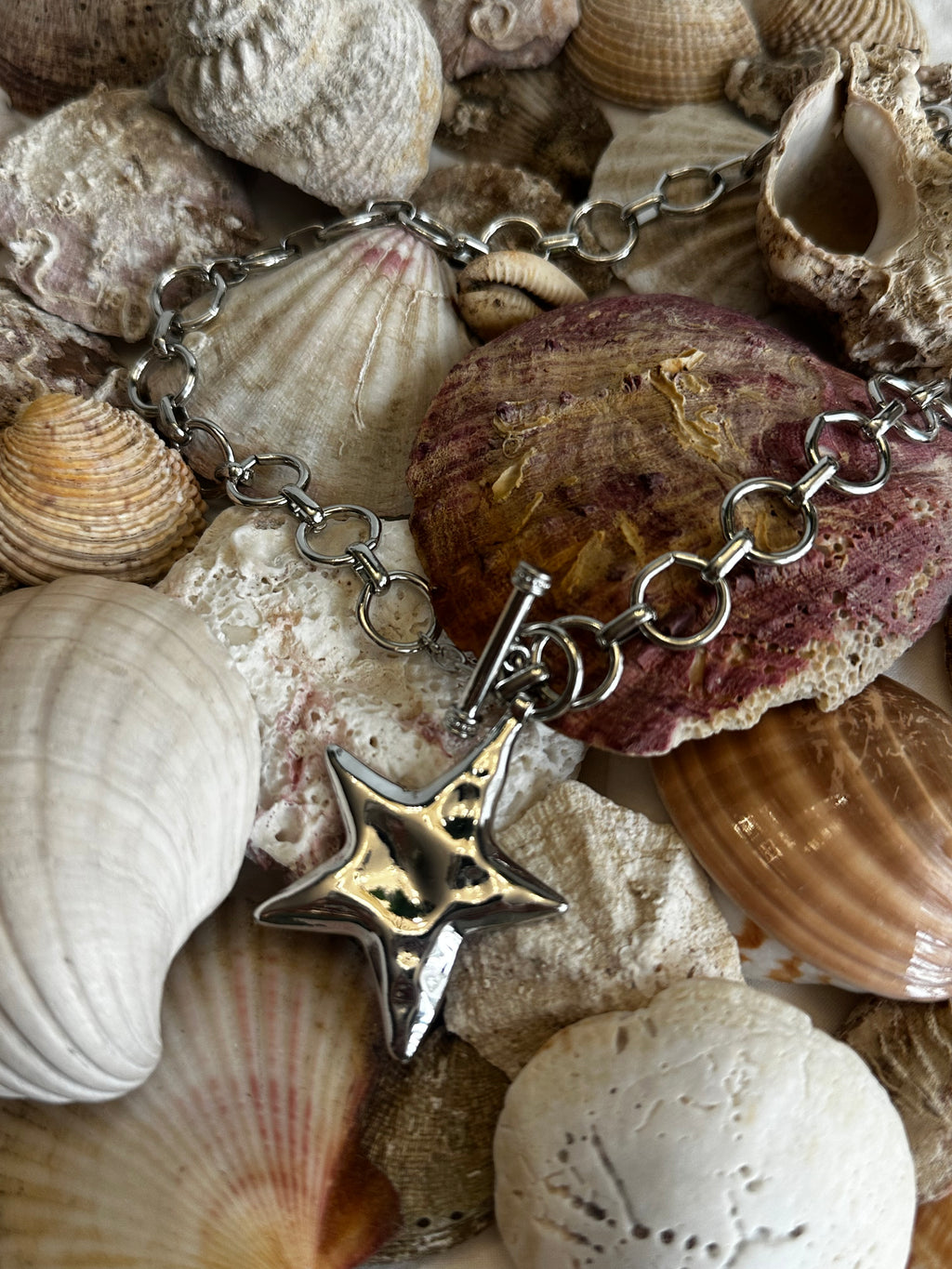 Collar estrella plata